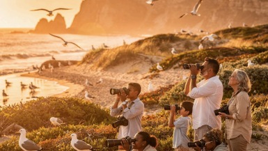Excursión Exclusiva a la Isla del Barón