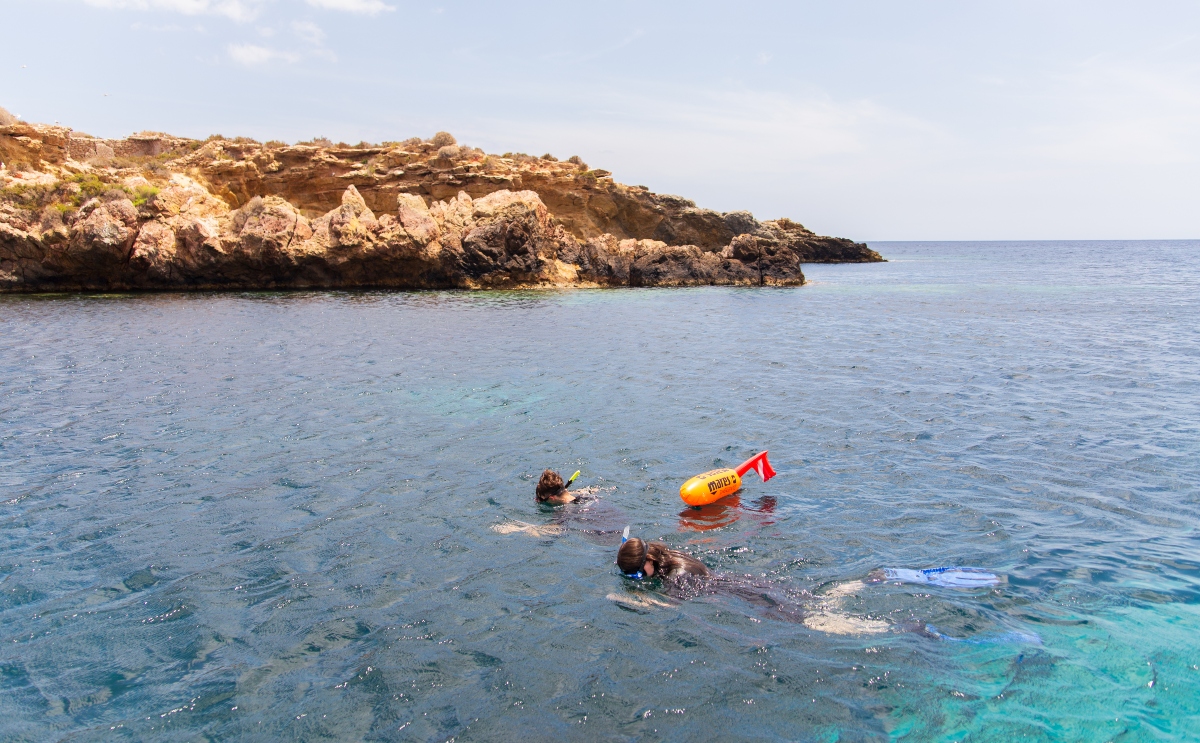 Excursión de snorkel en la Reserva Marina de Cabo Tiñoso