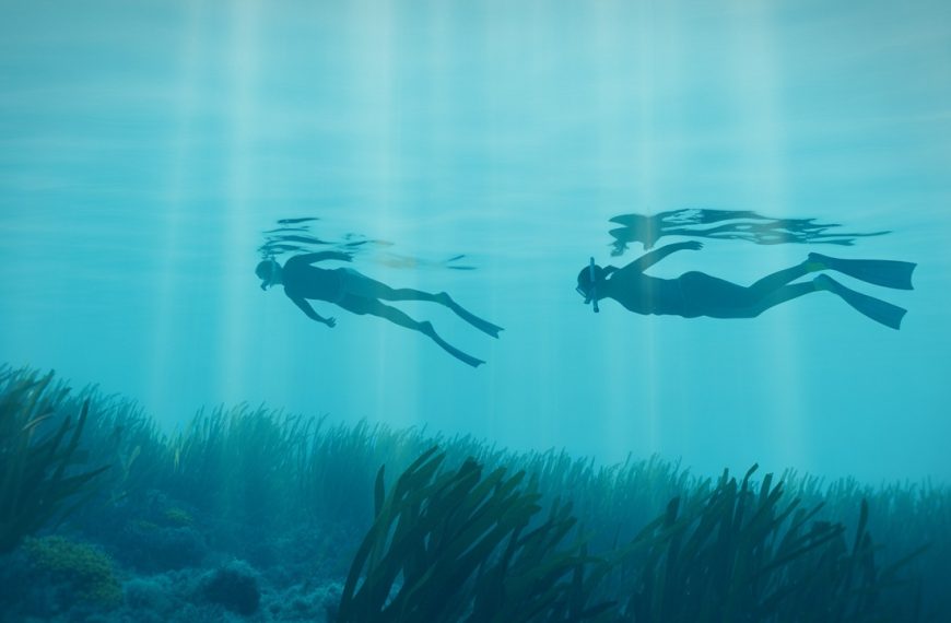 Excursión de snorkel a la Reserva de Isla Grosa