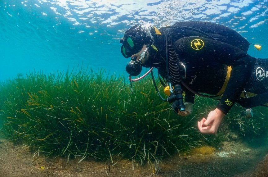 Bautismo de Buceo en Cabo Tiñoso